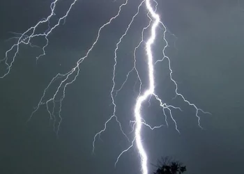 Rrufeja godet tufën e bagëtive në Gramsh, shpëton bariu