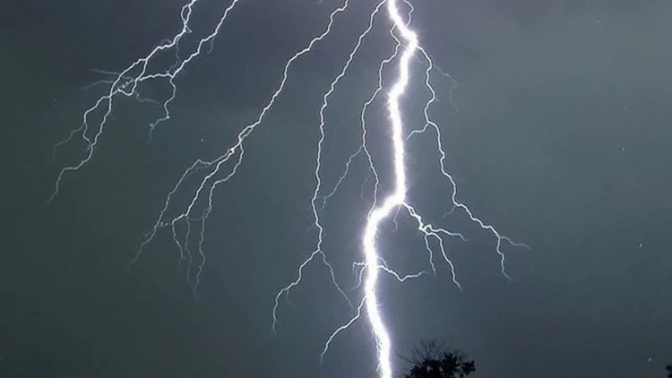 Rrufeja godet tufën e bagëtive në Gramsh, shpëton bariu