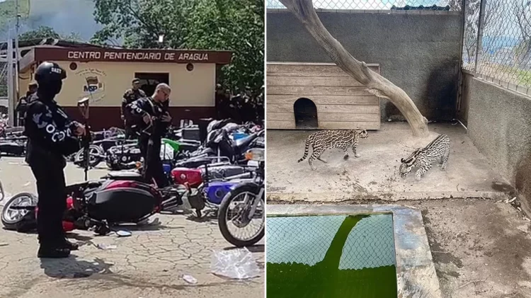 Banda kishte ndërtuar një “parajsë” në burg, me pishinë dhe kazino…