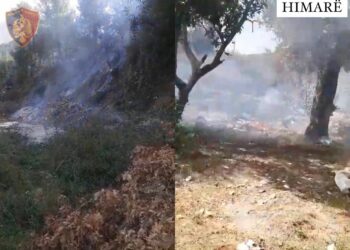 Policiashoqëron autorët zjarrvënieve në fshatrat Kallarat dhe Qeparo