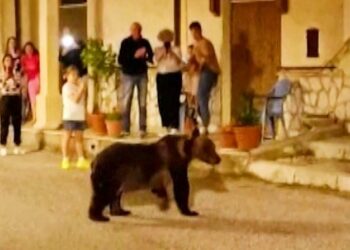 Ariu popullor qëllohet fatalisht në Itali