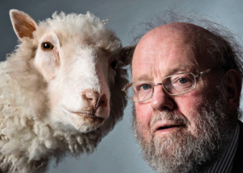 Ndërron jetë “babai i klonimit”, bëri histori me delen Dolly