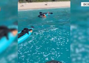 Rrezikuan të mbyteshin teksa lundronin me kanoe, shpëtojnë 2 turistët