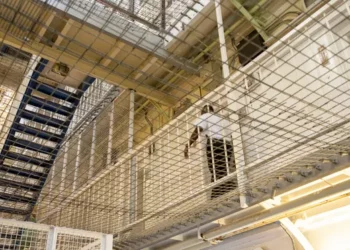 Gjermania nuk e ekstradon, shpëton shqiptari. Ja pse kërkohej nga Britania