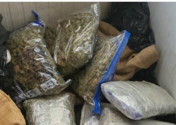 U kap me drogë, një muaj paraburgim për ish-zyrtarin