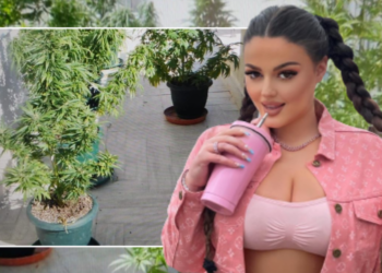 Kanabis në ballkon/ Prokuroria ankimon vendimin, kërkon rikthimin e Encës në qeli