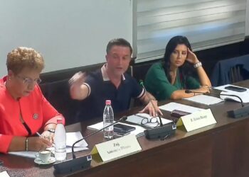 Rikthimi i basteve sportive, Braçe: Duhet të menaxhohen nga shteti