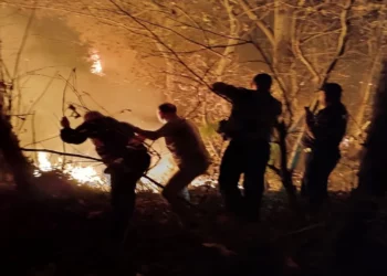 Zjarri në fshatrat e Fierit/ Identifikohen 9 autorët, 5 u arrestuan
