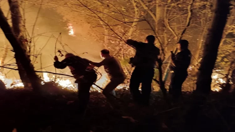 Zjarri në fshatrat e Fierit/ Identifikohen 9 autorët, 5 u arrestuan