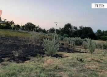 Zjarret në Fier/ Arrestohet një person, procedohen dy të tjerë