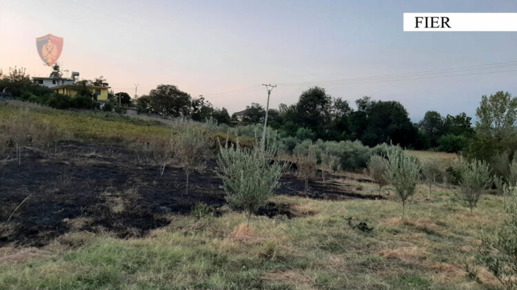 Zjarret në Fier/ Arrestohet një person, procedohen dy të tjerë
