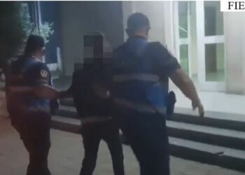 Iu gjetën mbi 12 mijë fara kanabisi, arrestohet 29-vjeçari në Fier