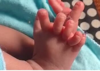 Lind foshnja me 26 gishta