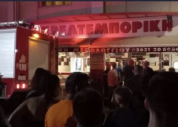 Tmerr në një dyqan mishi, makina e grirjes vret 50-vjeçaren shqiptare