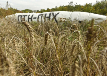 Marrëveshja e grurit, “Bild”: Ofertë sekrete e OKB-së për Moskën