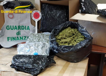 Shkatërrohet grupi shqiptaro-maroken, trafikonin hashash dhe kokainë