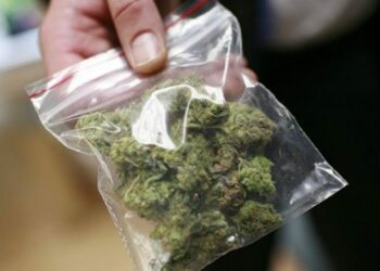 Skandal, produkte me hashash shiten në mes të Bllokut në Tiranë