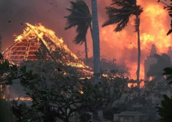 Një muaj pas zjarrit në Hawaii, ende nuk dihet fati i të zhdukurve
