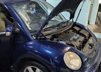 Kalonin kanabis në kufi, vihen në pranga 4 shtetas të huaj