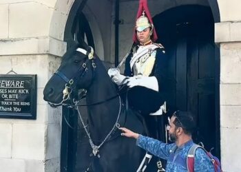 ‘Mos i prek frerët!’, ushtari i Gardës së Mbretit e tmerron turistin