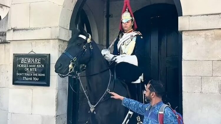 ‘Mos i prek frerët!’, ushtari i Gardës së Mbretit e tmerron turistin