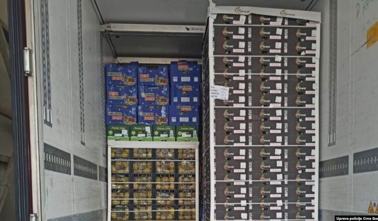 Disa ton trafik kokaine në Mal të Zi, akuzohet dhe kryetari i Budvës