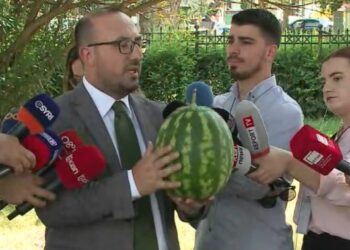 Zbulohet partnerja në kërcim e deputetit (VIDEO)