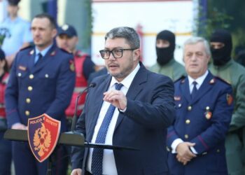 Çfarë mori në këmbim Tafani për rrëfimin? Ja si përgjigjet prokurori