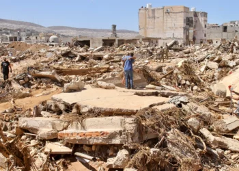 OKB: Nëse do kishte evakuim në Libi, s’do vajtonim kaq shumë vdekje