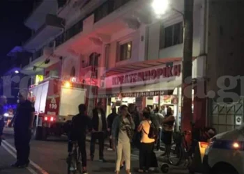 “Thërriste për ndihmë…”, tmerri i vajzës kur pa nënën e copëtuar