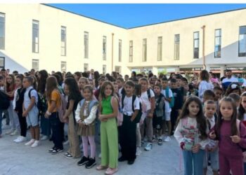 Më pak nxënës në shkolla, Rel: Vendi në depresion social