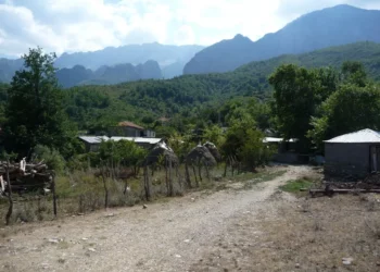 Vrasja në Përmet, flet gruaja që u shërbente të moshuarve: Pashë gjak