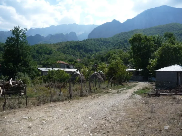 Vrasja në Përmet, flet gruaja që u shërbente të moshuarve: Pashë gjak