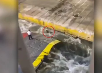 “Mendova se ishte pakistanez”, del audio e vrasjes në “Blue Horizon”