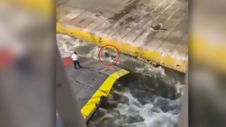 Hodhën në det pasagjerin, burg për kapitenin e anijes “Blue Horizon”