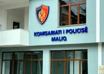 Kundërshtuan dhe fyen policët, arrestohen dy vëllezër në Maliq