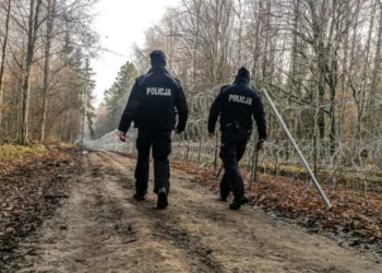 Arrestohen babë e bijë, vranë fëmijët që kishin linduar pas incestit