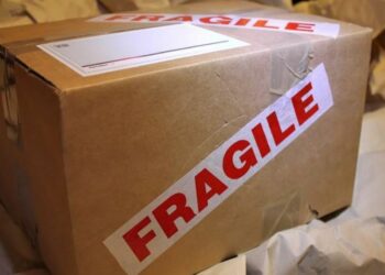 Meksikani porosit telefon, por ja çfarë i shkon në shtëpi