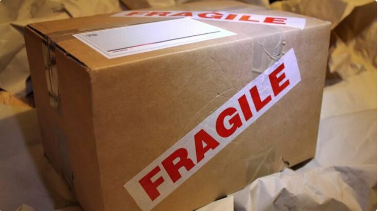 Meksikani porosit telefon, por ja çfarë i shkon në shtëpi