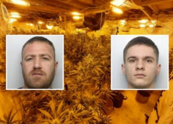 Qarkullonin drogë me vlerë 700 mijë paund, arrestohen 2 shqiptarë