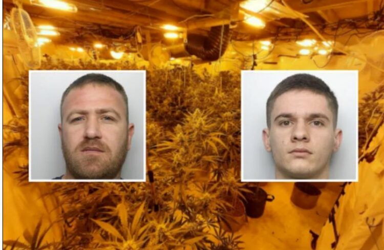 Qarkullonin drogë me vlerë 700 mijë paund, arrestohen 2 shqiptarë