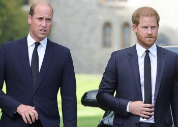 Ja kush është personi që mund të pajtojë dy vëllezërit