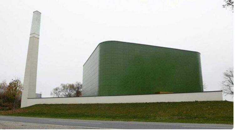 Lihet një kokë derri në hyrje të xhamisë në Austri