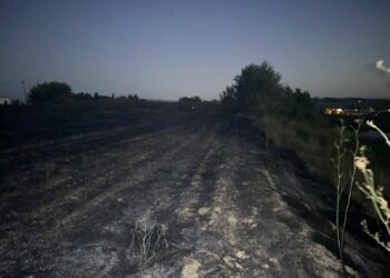 Ndezën zjarre nga pakujdesia, procedohen dy persona