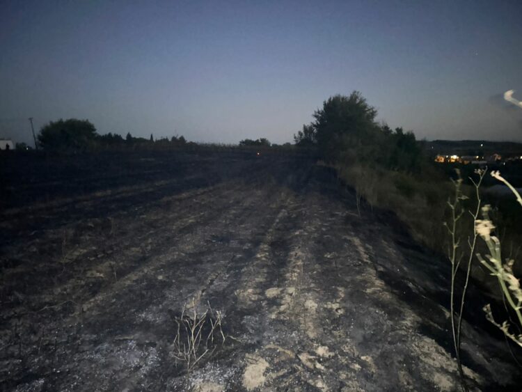 Ndezën zjarre nga pakujdesia, procedohen dy persona