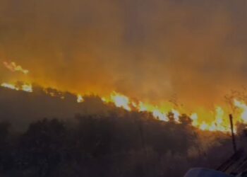 Zjarr i madh në Dropull, digjen 5 hektarë kullota