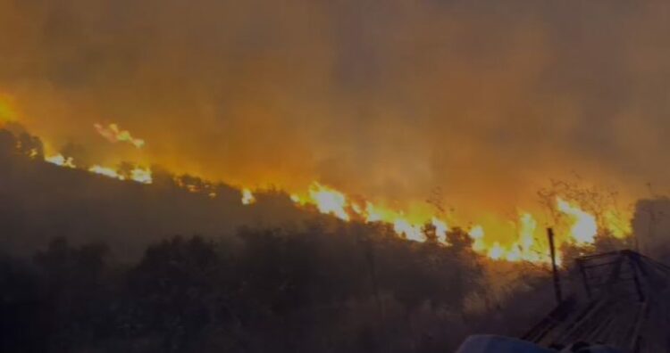Zjarr i madh në Dropull, digjen 5 hektarë kullota