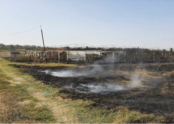 I vunë zjarrin 4 fshatrave, ndiqen penalisht zjarrvënësit në Fier