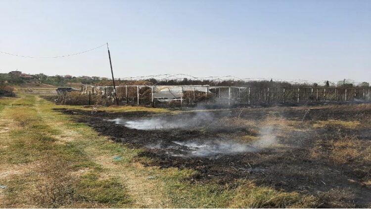 I vunë zjarrin 4 fshatrave, ndiqen penalisht zjarrvënësit në Fier