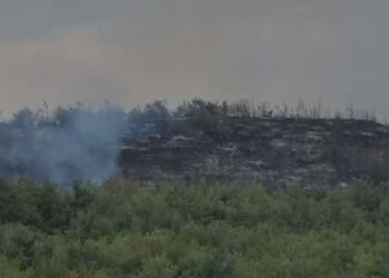 Ndezi zjarr për mbeturinat, por dogji të mbjellat e bashkëfshatarit